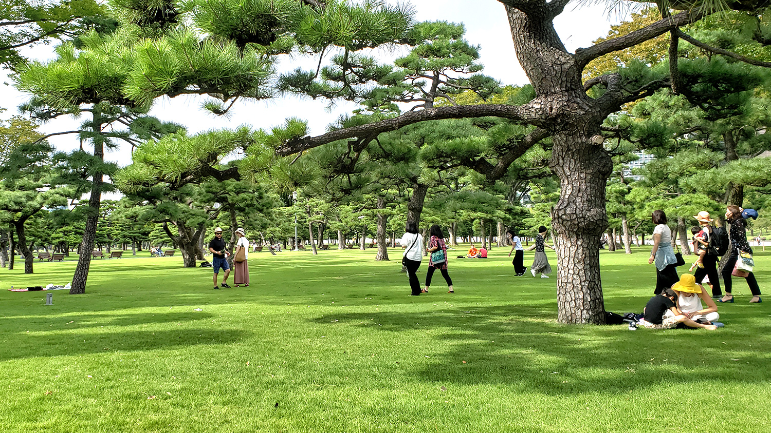 Imperial Palace square