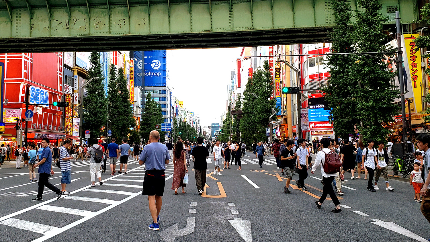 Pedestrian street of Akihabara